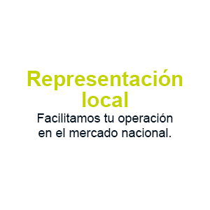 08-representacion-local